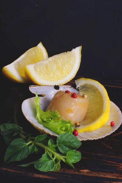 Natural scallop in the opened shell on a dark background with lemon and greens