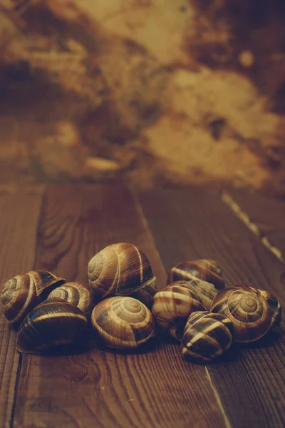 食用蜗牛的空壳躺在板上的背景 — 图库照片