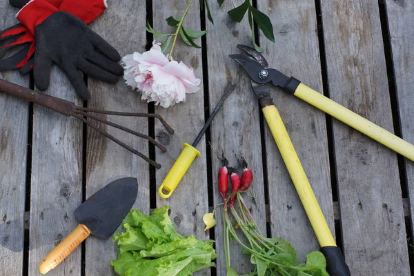 Garden tools, garden crop and delicate peony flower on wooden background.