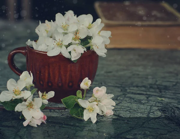 Tiernas flores blancas de manzano en taza de arcilla sobre la mesa — Foto de Stock