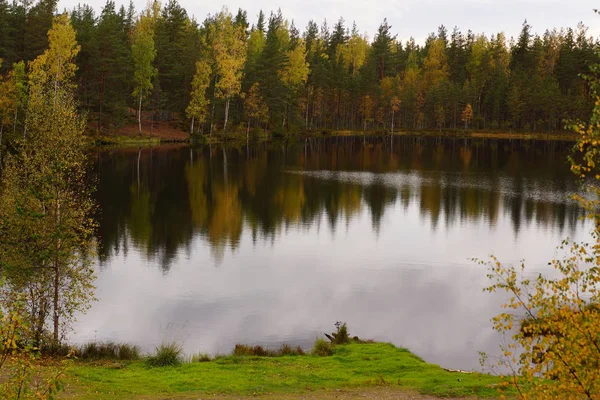 Forêt d'automne au bord d'un lac forestier — Photo