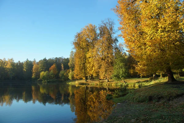 Bord du lac dans le parc avec des arbres d'automne jaune vif sur le rivage — Photo