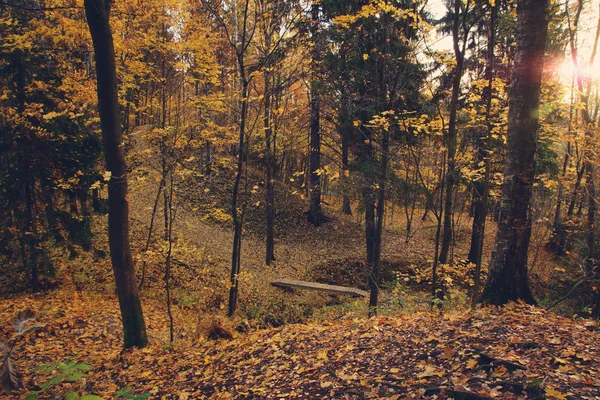 Parque de otoño con hojas amarillas caídas y pequeñas colinas — Foto de Stock