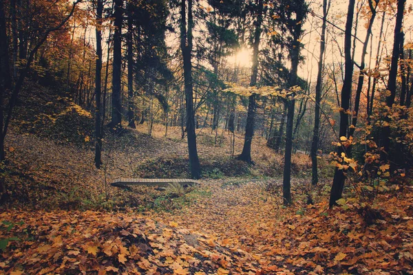 Vista de un puente de madera sobre un arroyo en un parque de otoño con hojas amarillas caídas — Foto de Stock