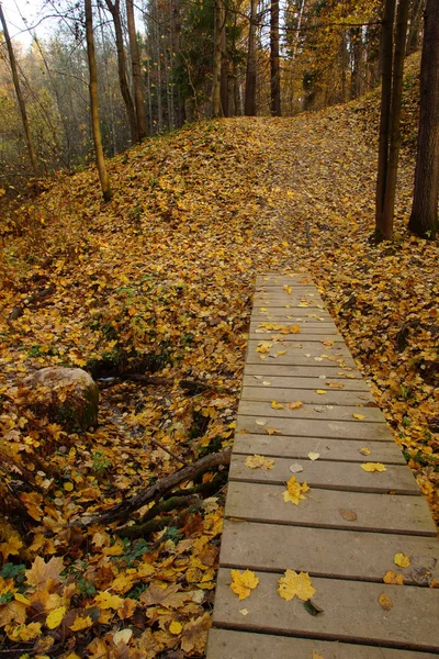 Un puente de madera sobre un arroyo que conduce profundamente a un parque de otoño con hojas amarillas caídas — Foto de Stock