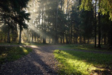 Güneşin parlak ışınları ile sular altında yürüyüş yolları parkta kavşak