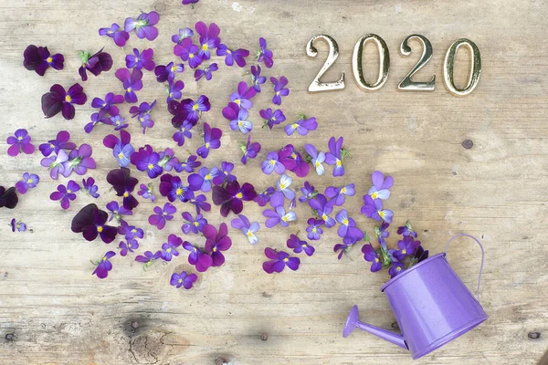 Figuras 2020 sobre un fondo de madera junto a un río de flores púrpuras — Foto de Stock