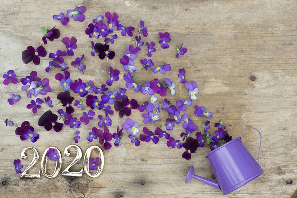 Figuras 2020 sobre un fondo de madera junto a las flores de las marrones púrpuras, y una regadera — Foto de Stock