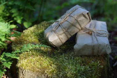 El işi kağıdına sarılı iki hediye yazın eğrelti otlarının yakınındaki bir kütükte yatıyor..
