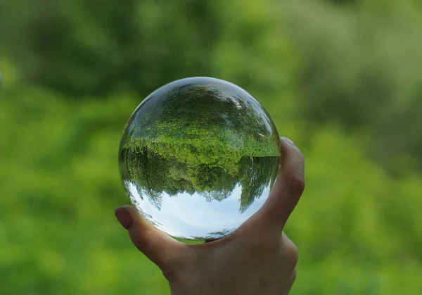 Egy Átlátszó Üveggolyó Elfordította Kilátást Erdő Melletti Tisztásra Egy Nyári — Stock Fotó