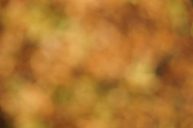 Herhangi bir yazı için bulanık turuncu arkaplan