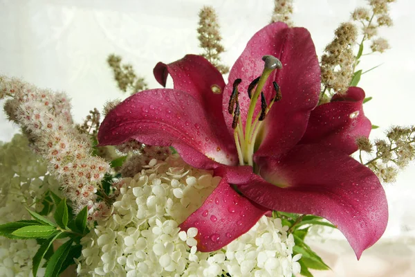 Beau bouquet avec lys et hortensia sur fond blanc Photo De Stock