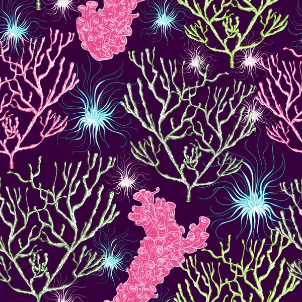 Безшовний Візерунок Морськими Рослинами Коралами Водоростями Векторні Ілюстрації — стоковий вектор