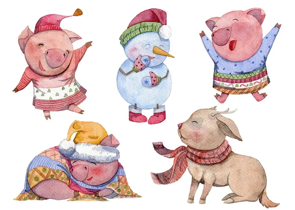 Ensemble Personnages Dessins Animés Aquarelle Bonne Année Jolis Cochons Bonhomme — Photo