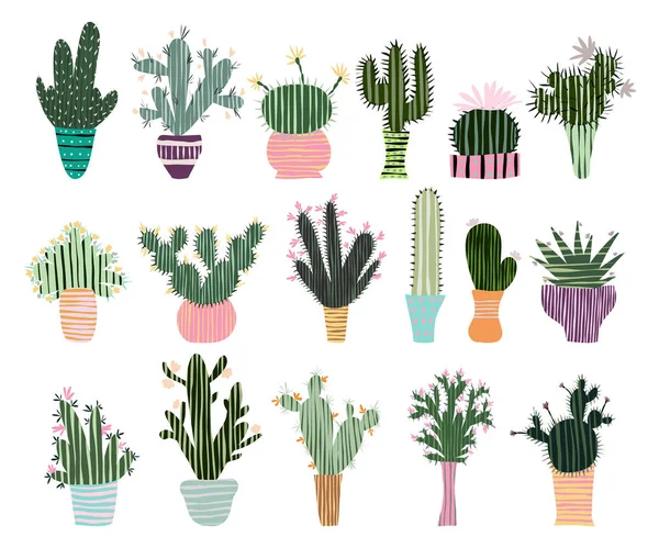 Cactos Suculentas Cacti Vasos Isolados Sobre Fundo Branco Ilustração Vetorial — Vetor de Stock