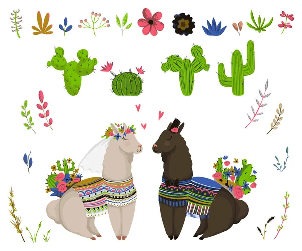Couple Lamas Doux Avec Cactus Éléments Floraux Ensemble Personnages Dessins — Image vectorielle
