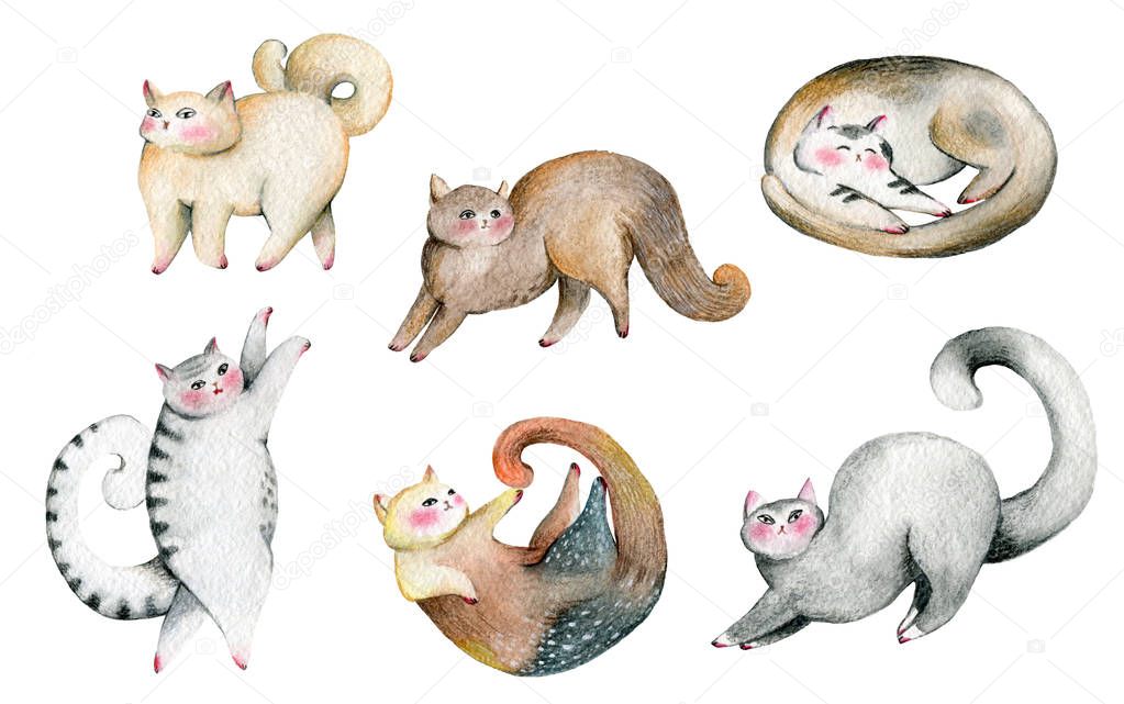 Cute cats set. Isolated on white background. Watercolor illustration