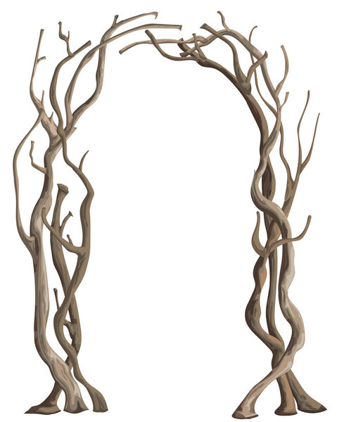 Rustic arch with tree branches. Vintage design template for invitation, card, poster. Isolated element on white background. Vector illustration in watercolor style