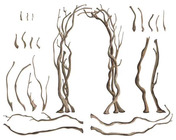 木の枝と白い背景に孤立したデザイン要素を持つ素朴なアーチ 水彩画風のベクトルイラスト — ストックベクタ