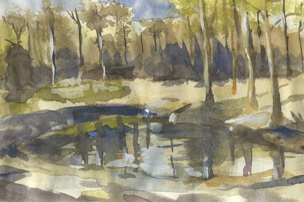 Landscape with trees and little lake. Watercolor illustration in sketch style