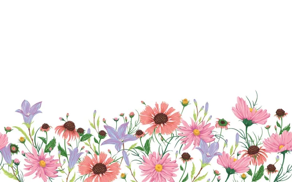Bezešvé Hranice Modřinami Heřmánkem Květinami Sedmikrásek Rustikální Romantické Květinové Pozadí — Stockový vektor