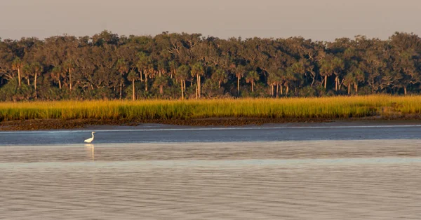 Panoramatický Snímek Intercoastal Waterway Severní Floridě Twilight Hodin Denně — Stock fotografie