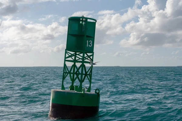 Numara Yeşil Gezinti Bouy Key West Harbor - Stok İmaj