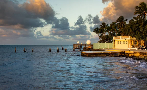 Whitehead Köpni Floridai Key West — Stock Fotó
