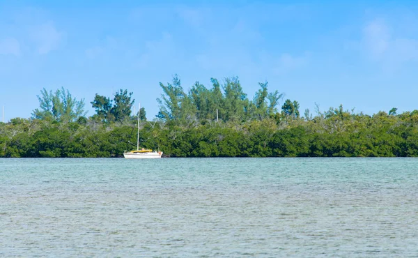 Kleines Weißes Segelboot Das Den Schlüsseln Von Florida Verankert Ist — Stockfoto