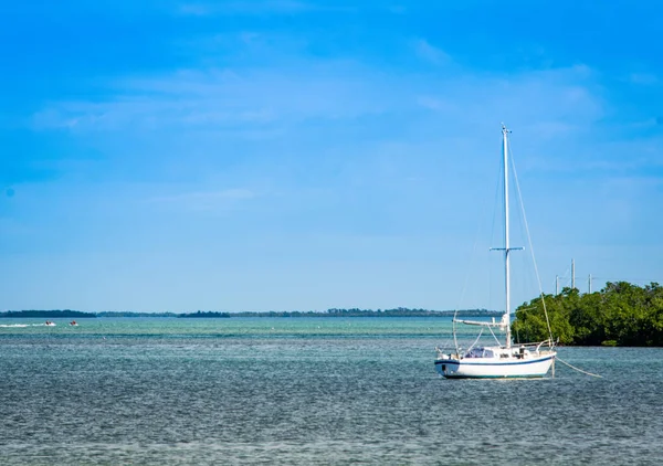 Florida Keys mangrov ağaçlarıyla çevrili demirlemiş küçük beyaz yelkenli. 