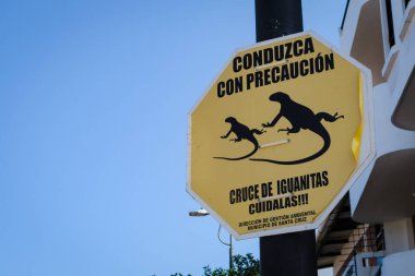 Santa Cruz Adası'nda Iguana Crossing Sign, Galapagos Adası, Ekvador, Güney Amerika.