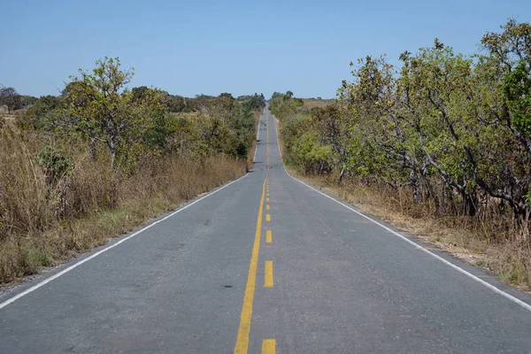 Дорога в Поконус, Пантанал, Мату-Гросу, Бразилія, Південна Америка. — стокове фото