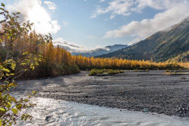 Exit Glacier'de Diriliş Nehri, Kenai Fiyortları Ulusal Parkı, Seward, Alaska, Amerika Birleşik Devletleri