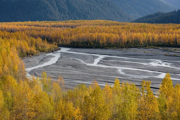 Exit Glacier'deki Diriliş Nehri Vadisi, Kenai Fiyortları Ulusal Parkı, Seward, Alaska, Amerika Birleşik Devletleri