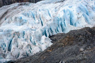 Close Up ve Exit Glacier, Harding Icefield, Kenai Fjords National Park, Seward, Alaska, Amerika Birleşik Devletleri