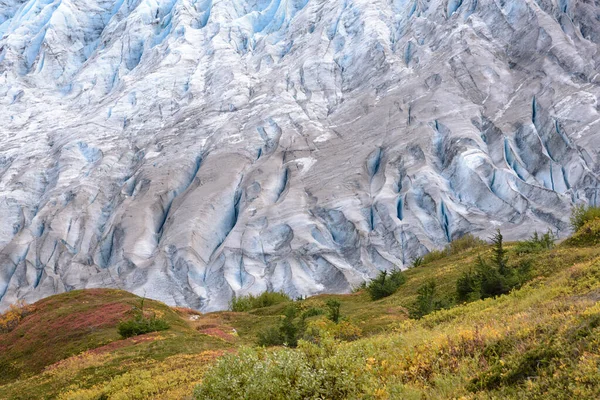 Close up of ice of Exit Glacier, Harding Icefield, Kenai Fjords National Park, Seward, Alaska, Estados Unidos — Fotografia de Stock