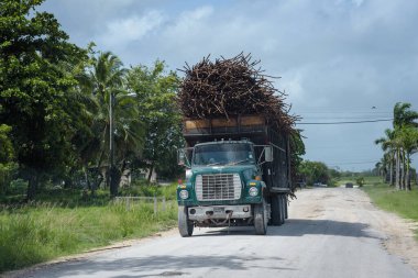 Orange Walk, Belize 'de tam dolu şeker kamyonu yolda..