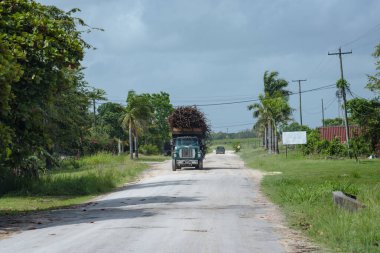 Orange Walk, Belize 'de tam dolu şeker kamyonu yolda..