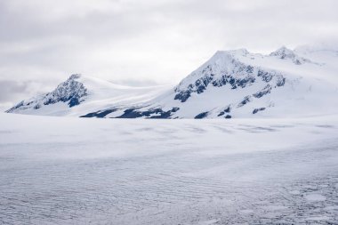 Exit Glacier, Harding Icefiel Kenai Fjords Ulusal Parkı, Seward, Alaska, ABD