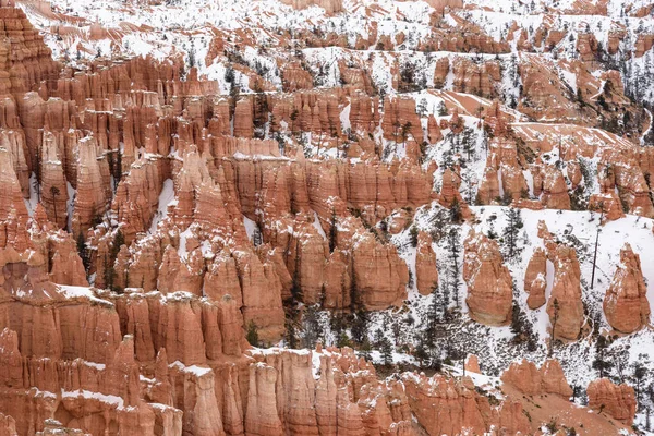 Primer plano de hermosas montañas cubiertas de nieve durante el período de invierno en el Parque Nacional Bryce Canyon, Utah, Estados Unidos de América —  Fotos de Stock