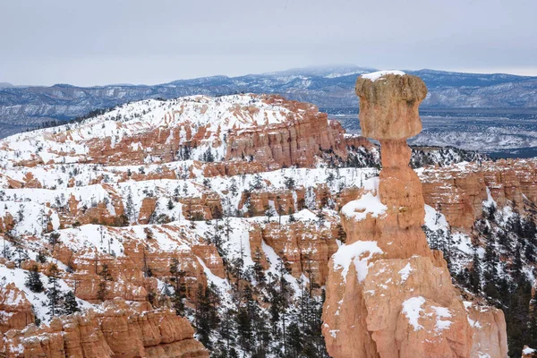Thor 's hammer am schönen schneebedeckten bryce canyon im bryce canyon nationalpark, utah, vereinigte staaten von amerika — Stockfoto