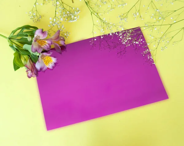 Greeting card with flowers. Banner with alstroemeria flowers on a pink background.