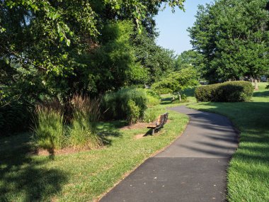 Kavisli bir asfalt yolu huzurlu bir banliyö parkında ahşap bir bank ve yemyeşil uzun otlar arasında esiyor..