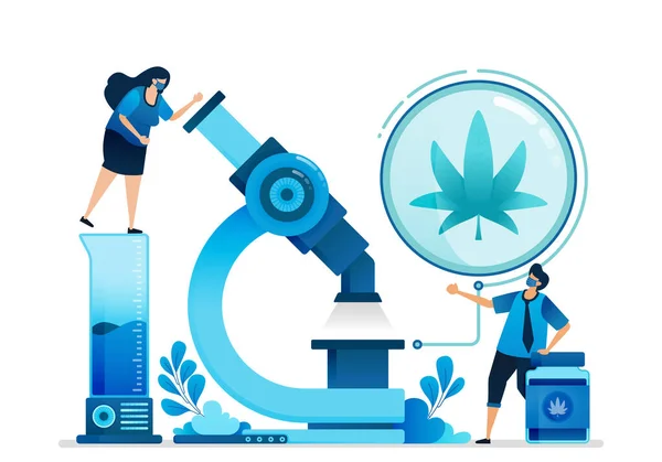 Cannabis Vector Illustraties Onderzoek Ontwikkeling Van Ganja Voor Onderwijs Gezondheidszorg — Stockvector