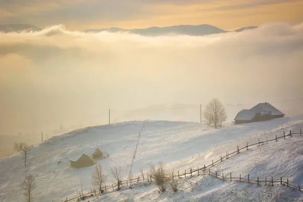 Romanya Vahşi Dağ Hills Sihirli Kış Manzarası — Stok fotoğraf