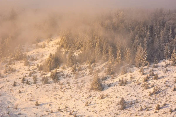 Paisagem Mágica Inverno Romênia Colinas Montanha Selvagens — Fotografia de Stock