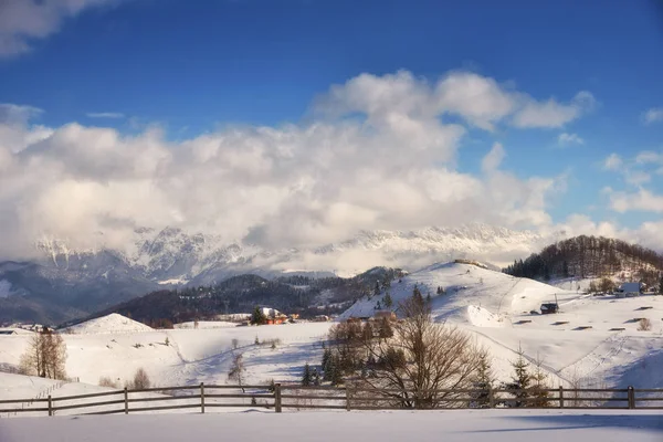 Dnia Zimie Pośród Dzikich Transylwanii — Zdjęcie stockowe
