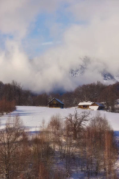 Dia Inverno Colinas Transylvania Selvagens — Fotografia de Stock