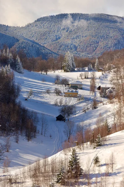 day of a winter, on wild transylvania hills.