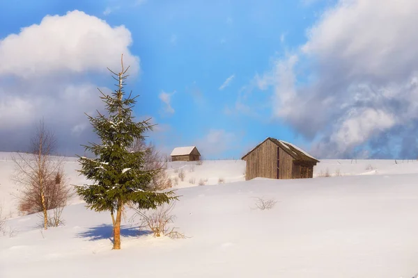 Dia Inverno Colinas Transylvania Selvagens — Fotografia de Stock